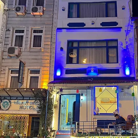 Hotel Sultanahmet Sefa Istanboel