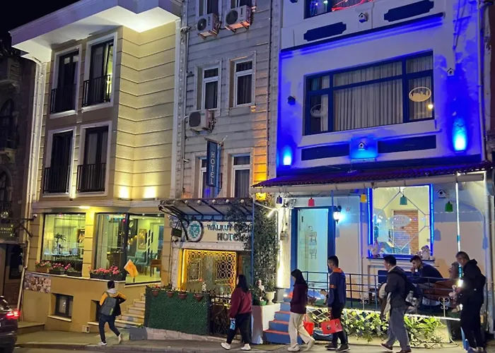 Hotel Sultanahmet Sefa 3*