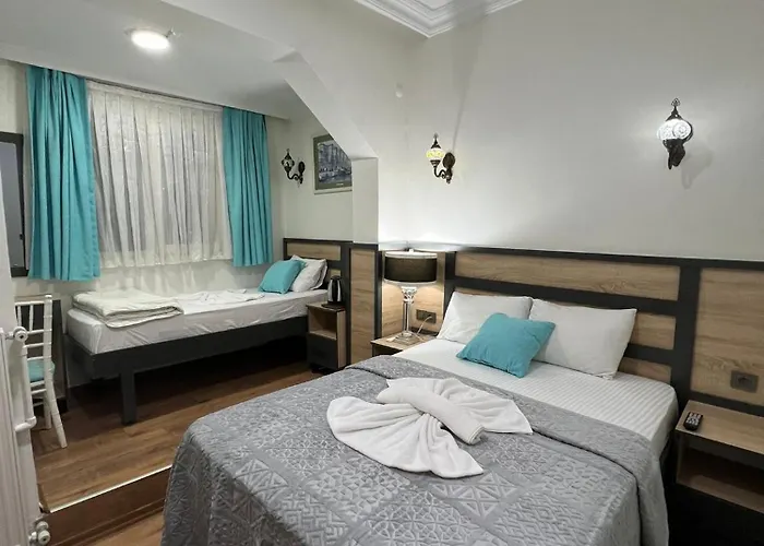 酒店 Sultanahmet Sefa 伊斯坦布尔